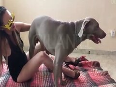 Porno animal fre seks mememachine.unrulymedia.com
