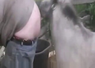 Passionate close-ups in a video with a hot horse