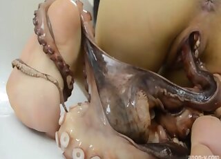 Real Octopus Porn