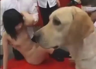 Maniac from Japan fucked by her own sexy dog