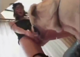 Anorexic Japanese girl fucked by a white dog