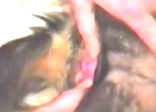 Skinny beast is going to get fucked in missionary