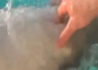 Dolphin penis getting stroked to the limit here