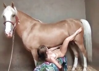 Horse with a hard penis fucking a skinny gal
